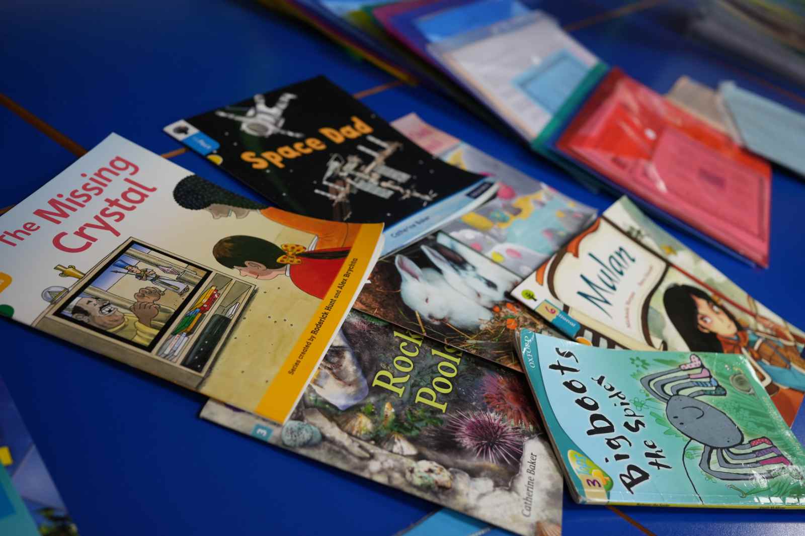 Reading Volunteers